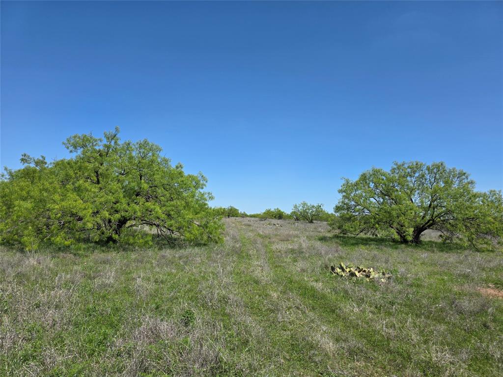 1709 County Road 330