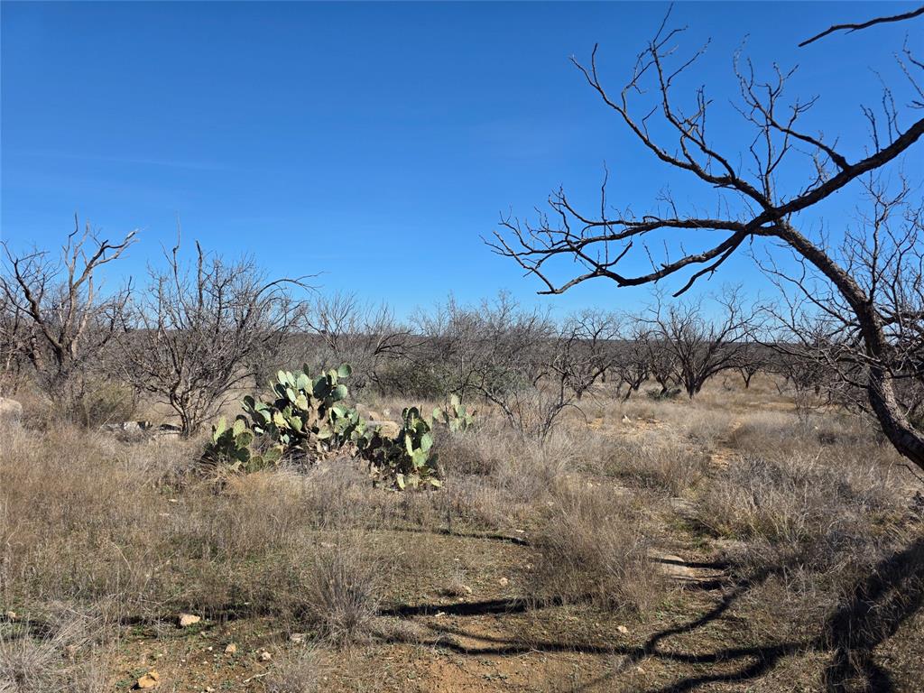 1709 County Road 330