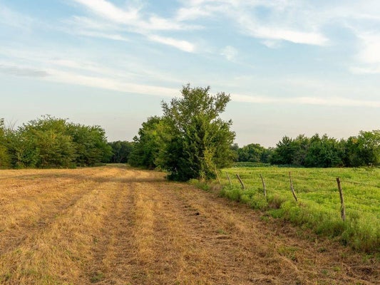 TBD COUNTY ROAD 3660 COUNTY ROAD 3660, LADONIA, TX 75449 - Image db304c7b920439edbaca5b1afd4b24ef/3551311589