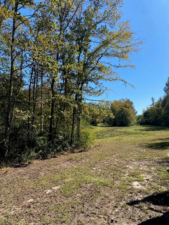TBD 007 County Road 242