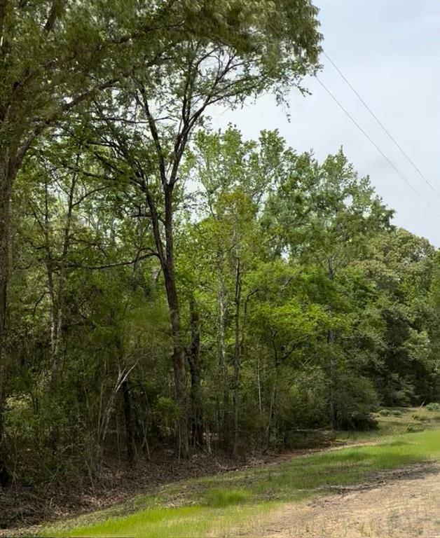 TBD 007 County Road 242