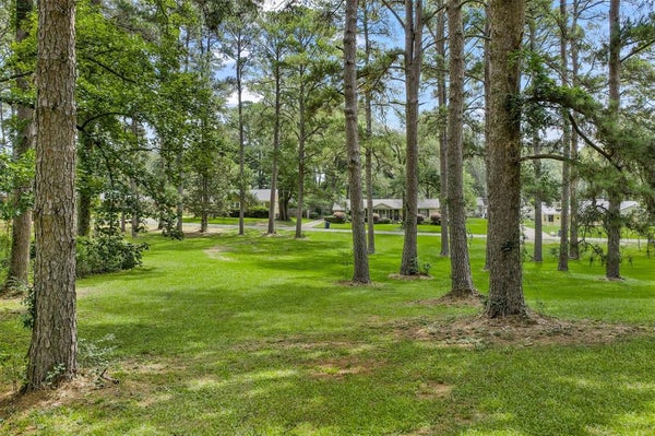 GLADNEY ST, MINDEN, LA 71055 - Image db57fb8d0780e7982ae85753be4c51c0/534748187