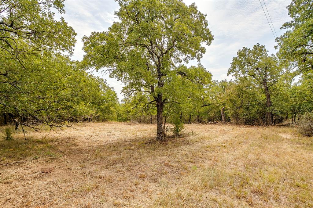 Silver Lakes Ranch - Land