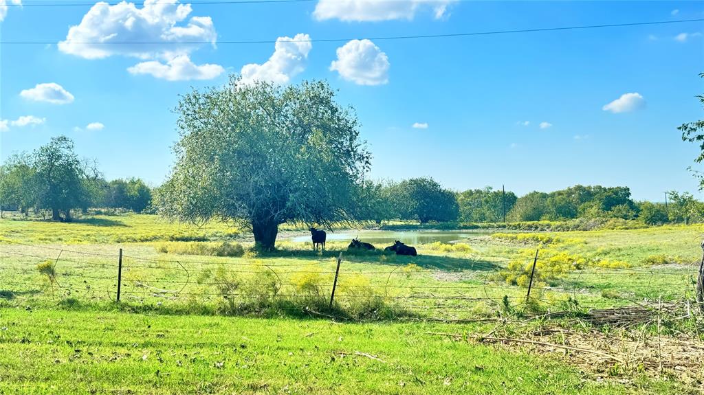 1258 County Road 352 Road