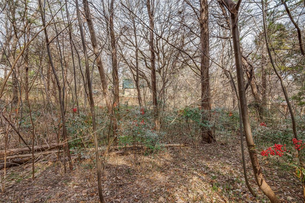 Lake Ridge Village 02 - Land