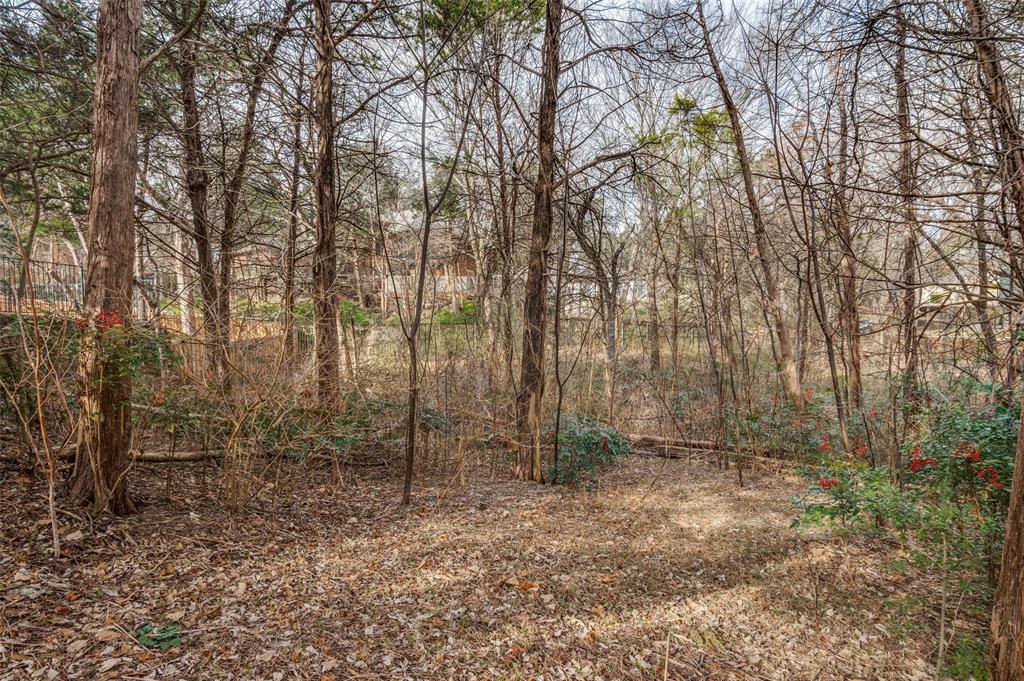 Lake Ridge Village 02 - Land