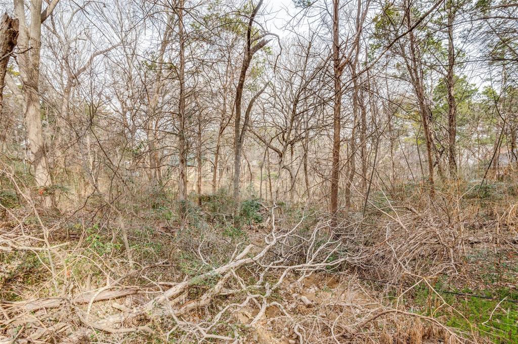 Lake Ridge Village 02 - Land