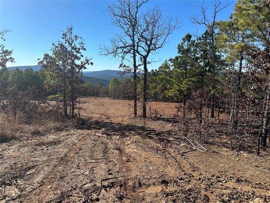 NW 1025TH AVE, WILBURTON, OK 74578 - Image db9d4aa6d81bee9d53eaab658f3ef636/3013016787