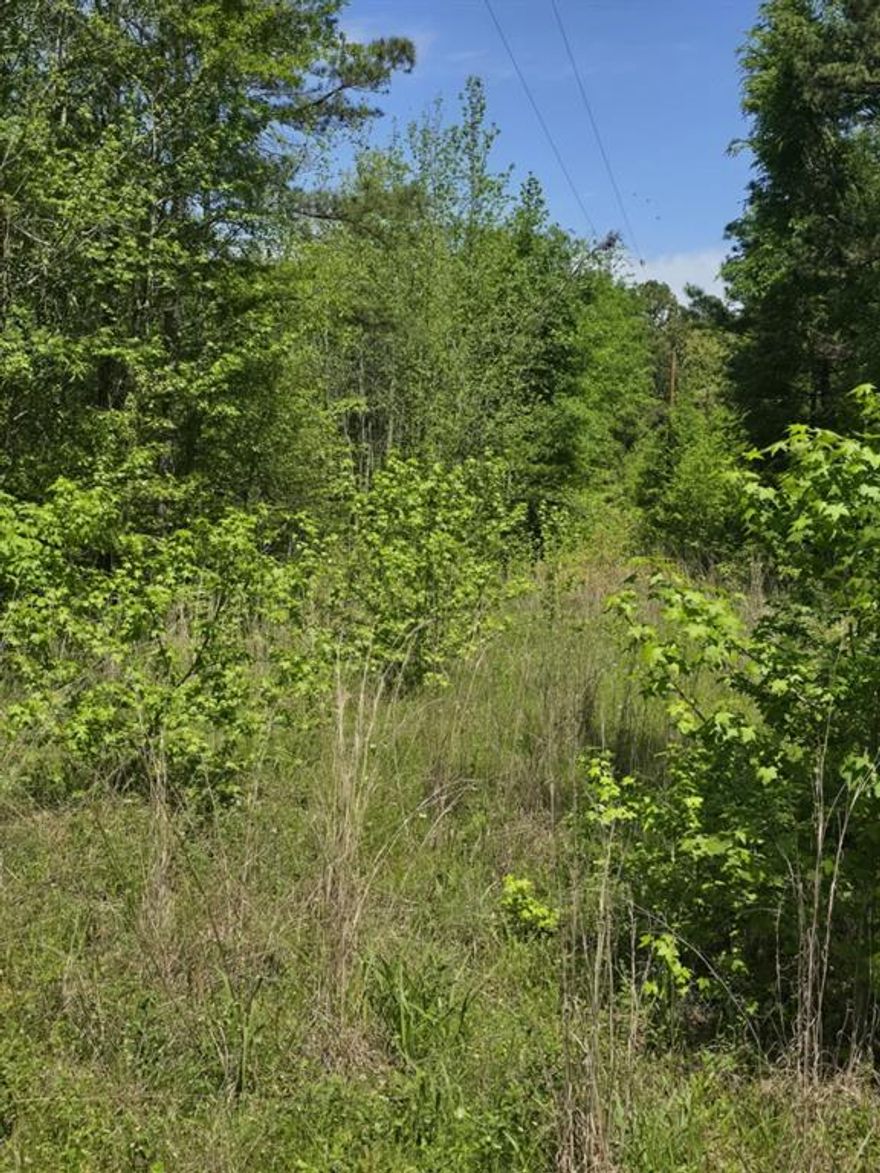 Come see this gorgeous piece of property on County Road 421.  Tyler address, Lindale Schools, build your dream home here!!  Land will need to be cleared as it is wooded, but it is beautiful out here and full of wildlife!  9 to 10 acres to be surveyed out of a larger tract, buyer to purchase survey.