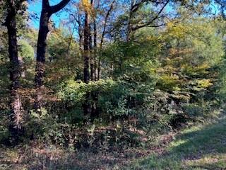 TBD Lot 56 Dogwood Drive