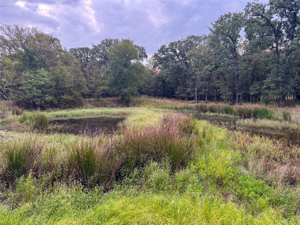 Hidden Creek Ranch - Land