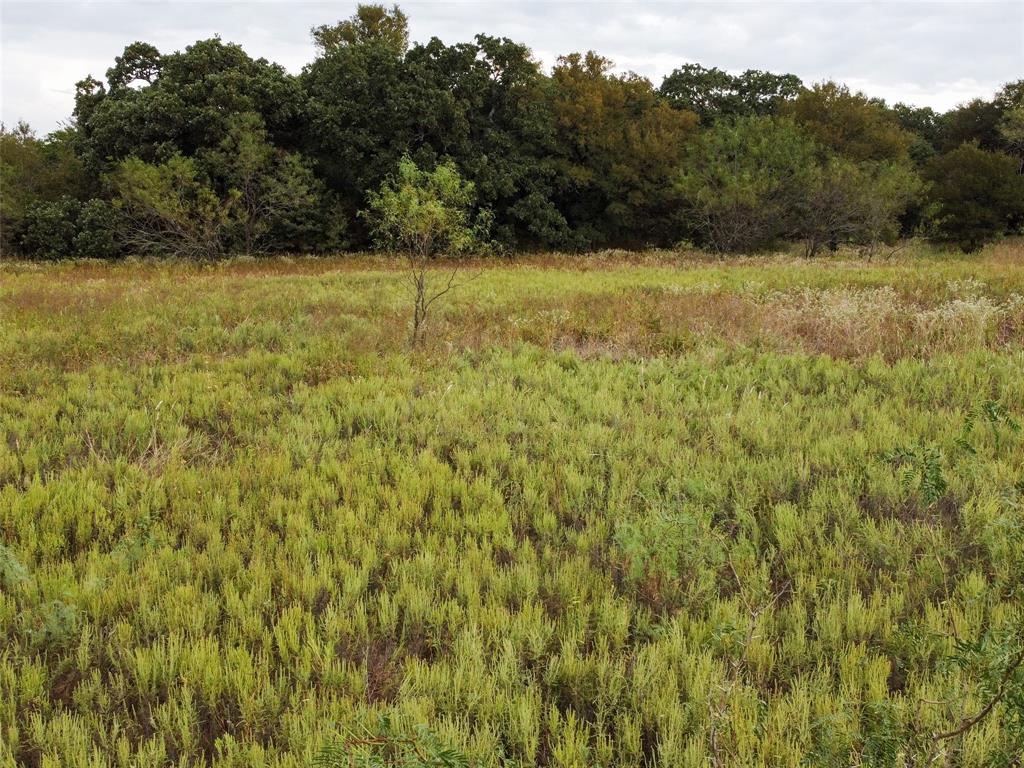Hidden Creek Ranch - Land