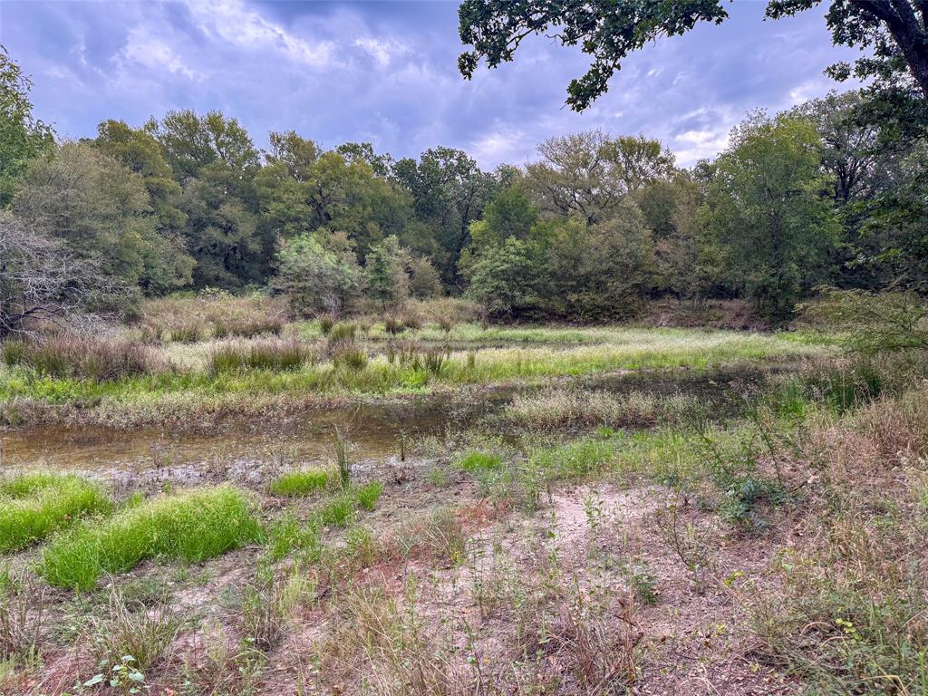 Hidden Creek Ranch - Land