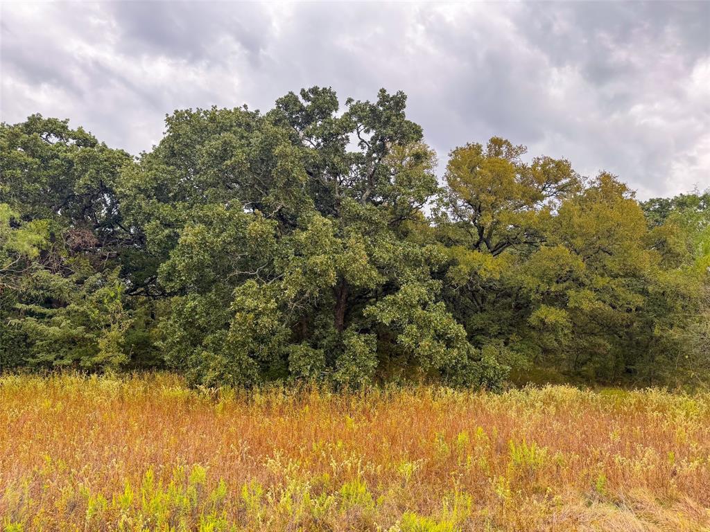 Hidden Creek Ranch - Land