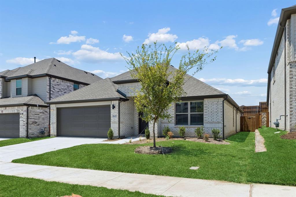 205 Whitlow Drive