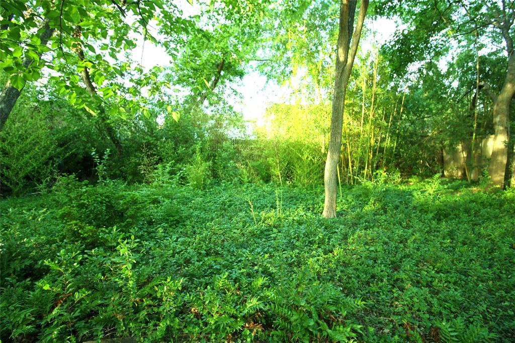 Alvis Johnson Resub - Residential