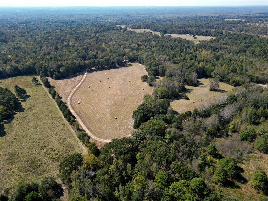 325 County Road 2715