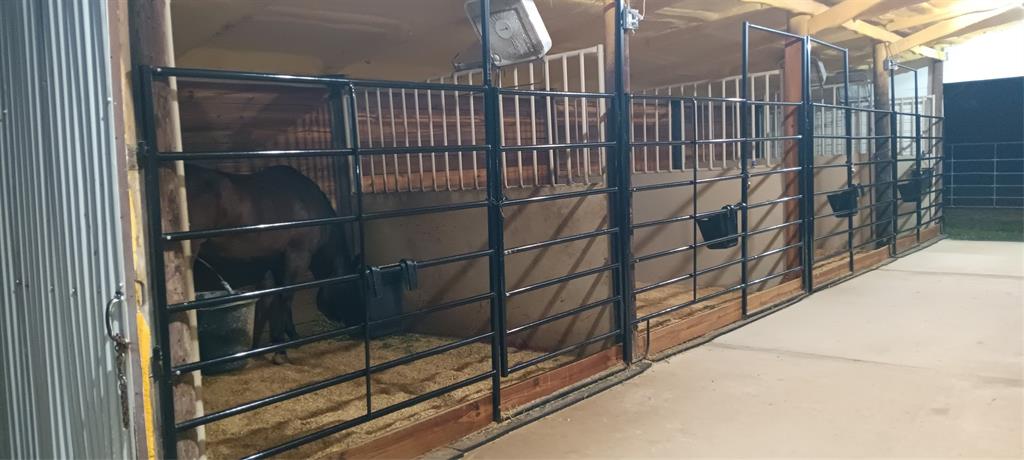 Andrew Dorsheimer Surv A-205 - Residential