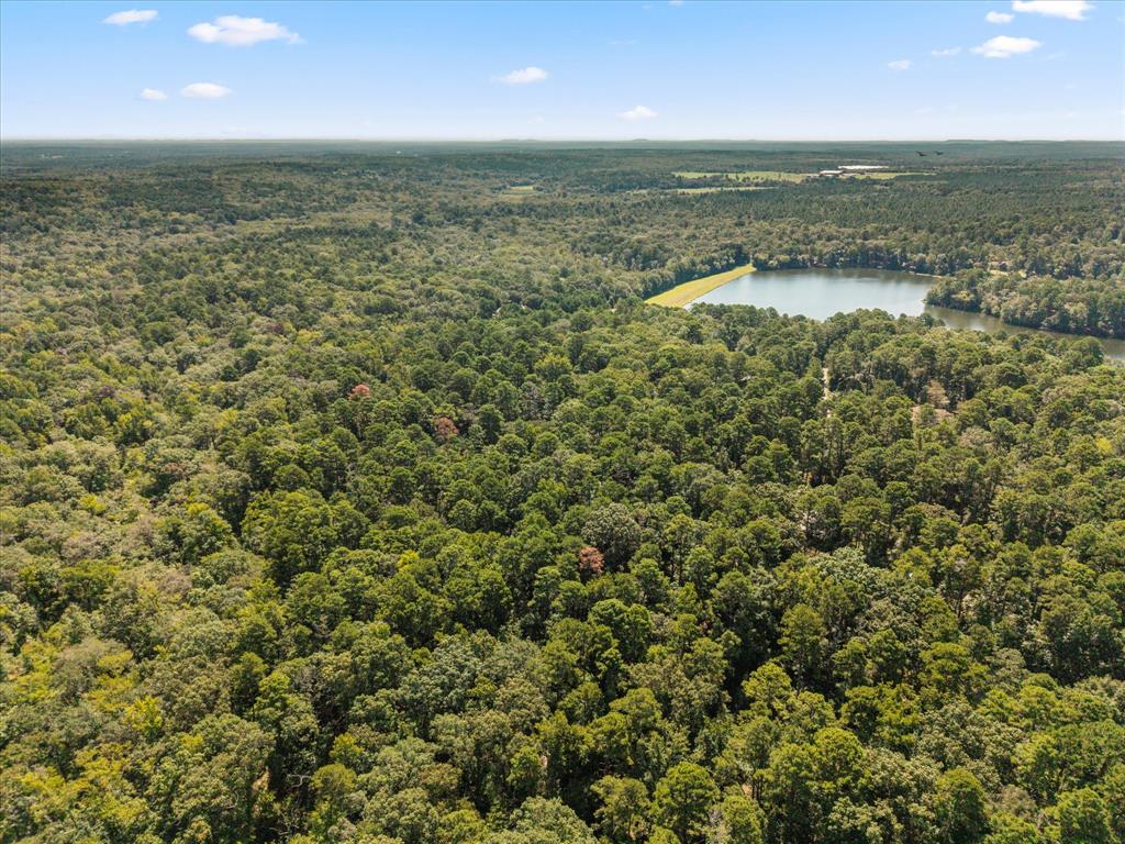 Horseshoe Bend - Residential