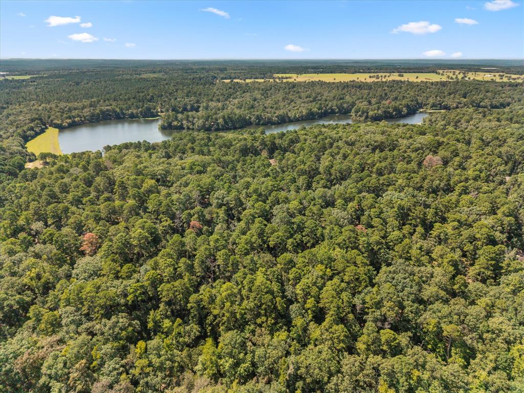 Horseshoe Bend - Residential