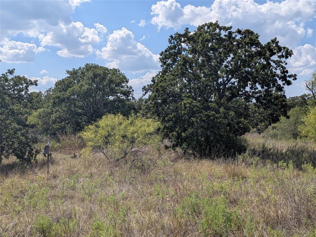 TBD County Road 101