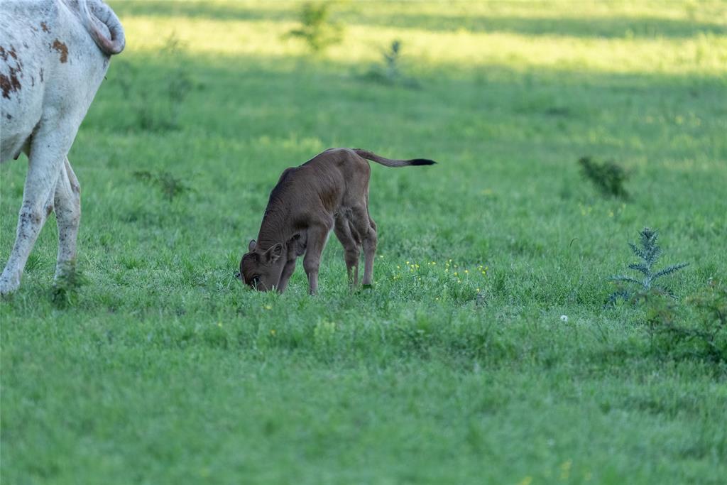 R. King - Residential