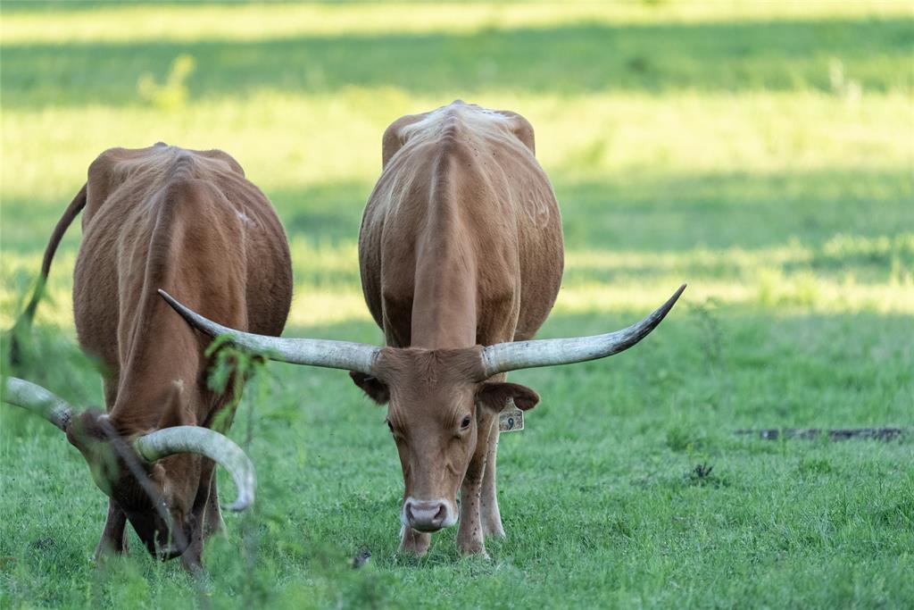 R. King - Residential