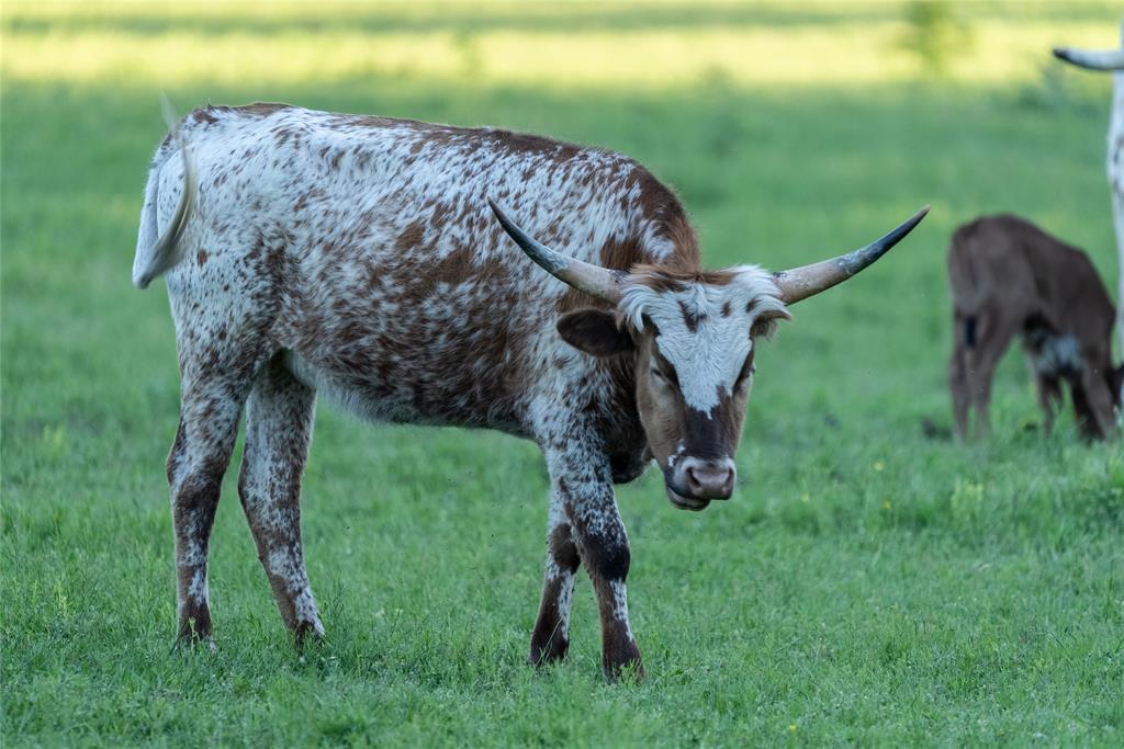 R. King - Residential