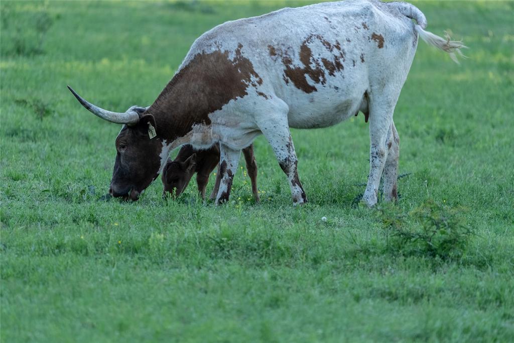 R. King - Residential