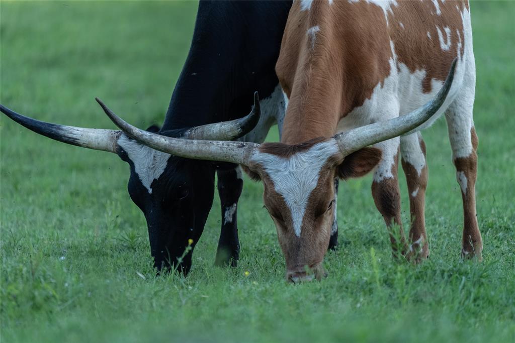 R. King - Residential