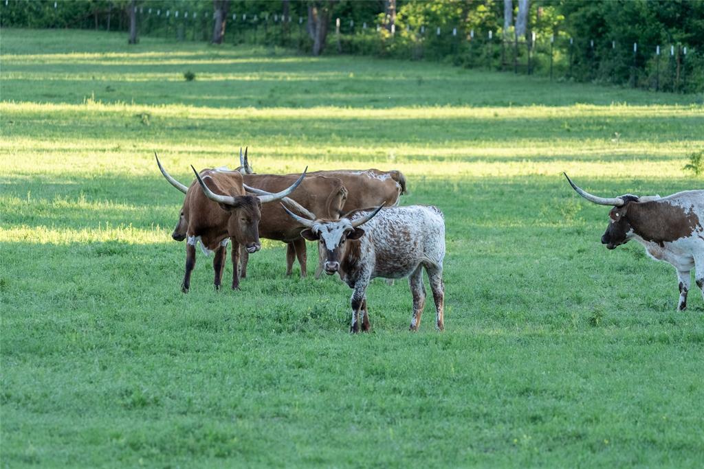 R. King - Residential