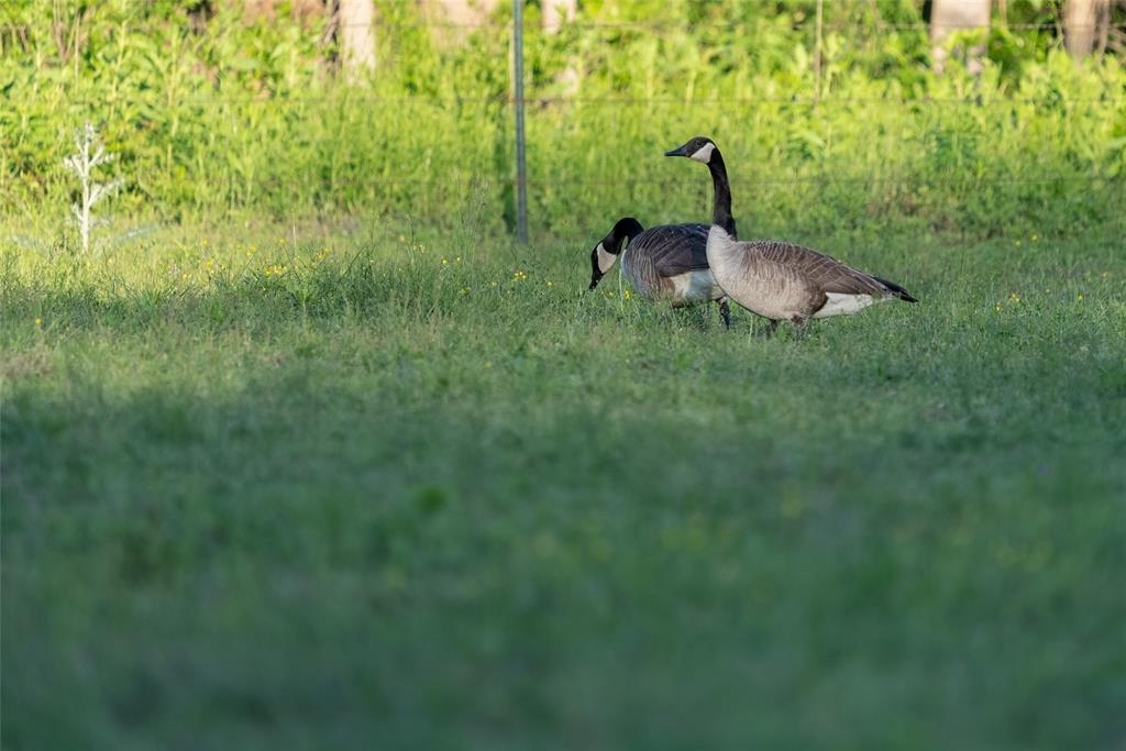 R. King - Residential