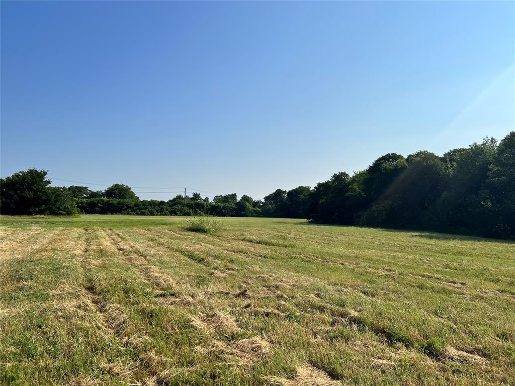 Hilo Oreilly Rowlett - Land