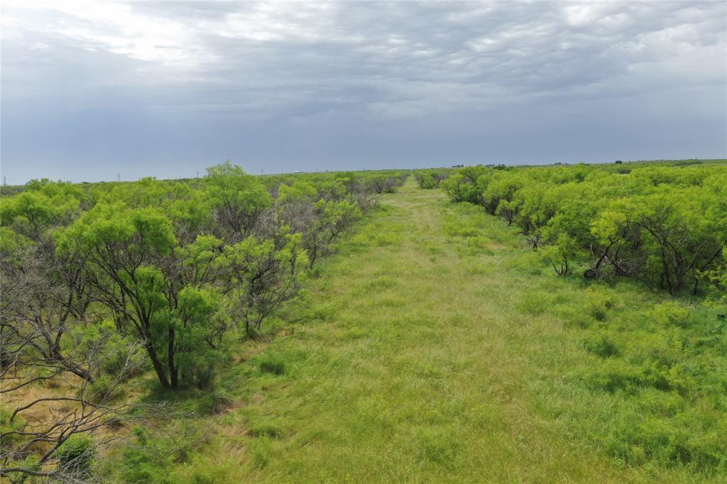 TBD FM 2321 TRACT 2
