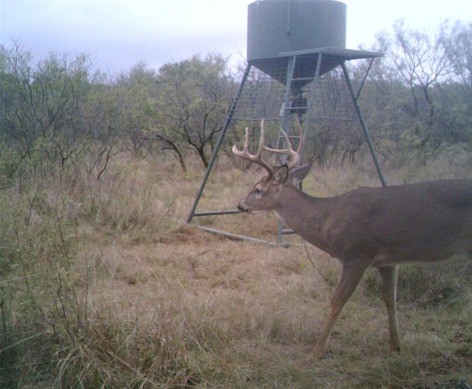 Bellevue Estates - Land