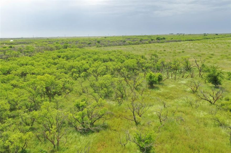 31 acre & 47 acre tracts available! Barndominiums allowed. Discover the perfect setting to build your dream house. Enjoy the quiet country setting with plenty of space for outdoor activities. The land features a variety of ponds, open pasture and wooded areas. Situated a mere 25 minutes from Bowie and Henrietta, this location offers the perfect retreat from the city life while keeping conveniences accessible. No mobile homes or manufactured homes. Bring your own builder.