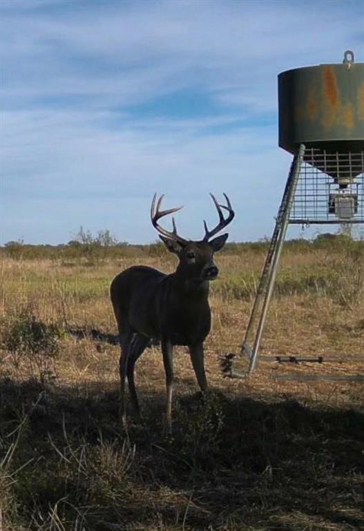 Bellevue Estates - Land