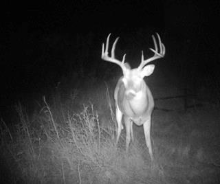 Bellevue Estates - Land