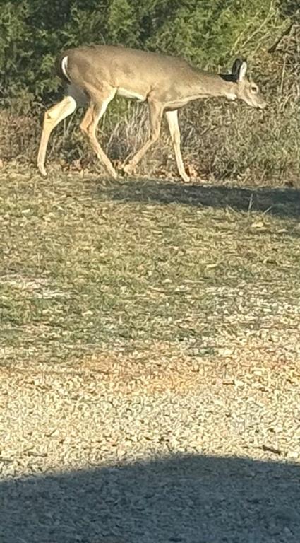 Daugherty - Residential