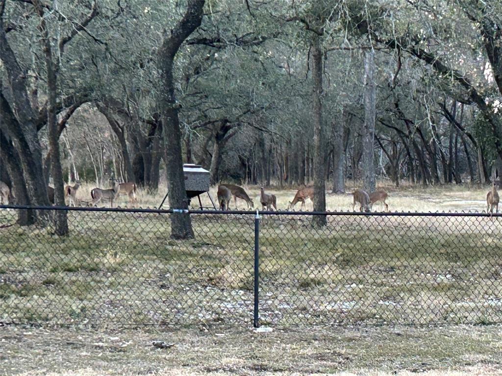 Three 17 River Oaks - Residential