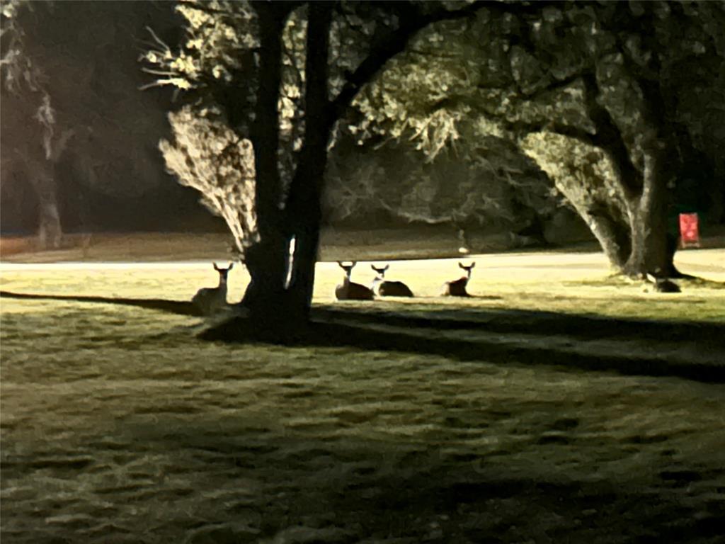 Three 17 River Oaks - Residential