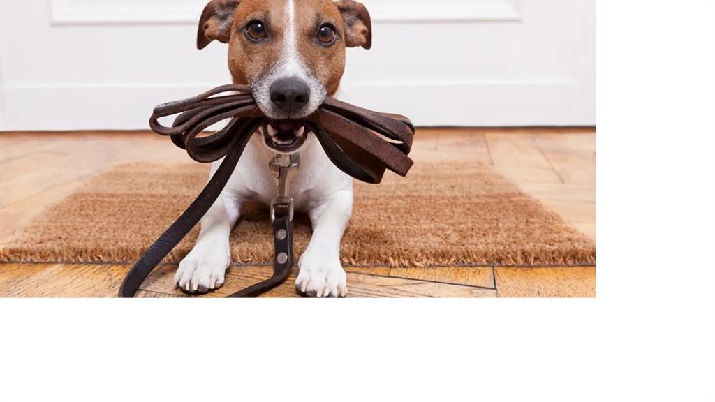 Bonaventure Condo - Residential