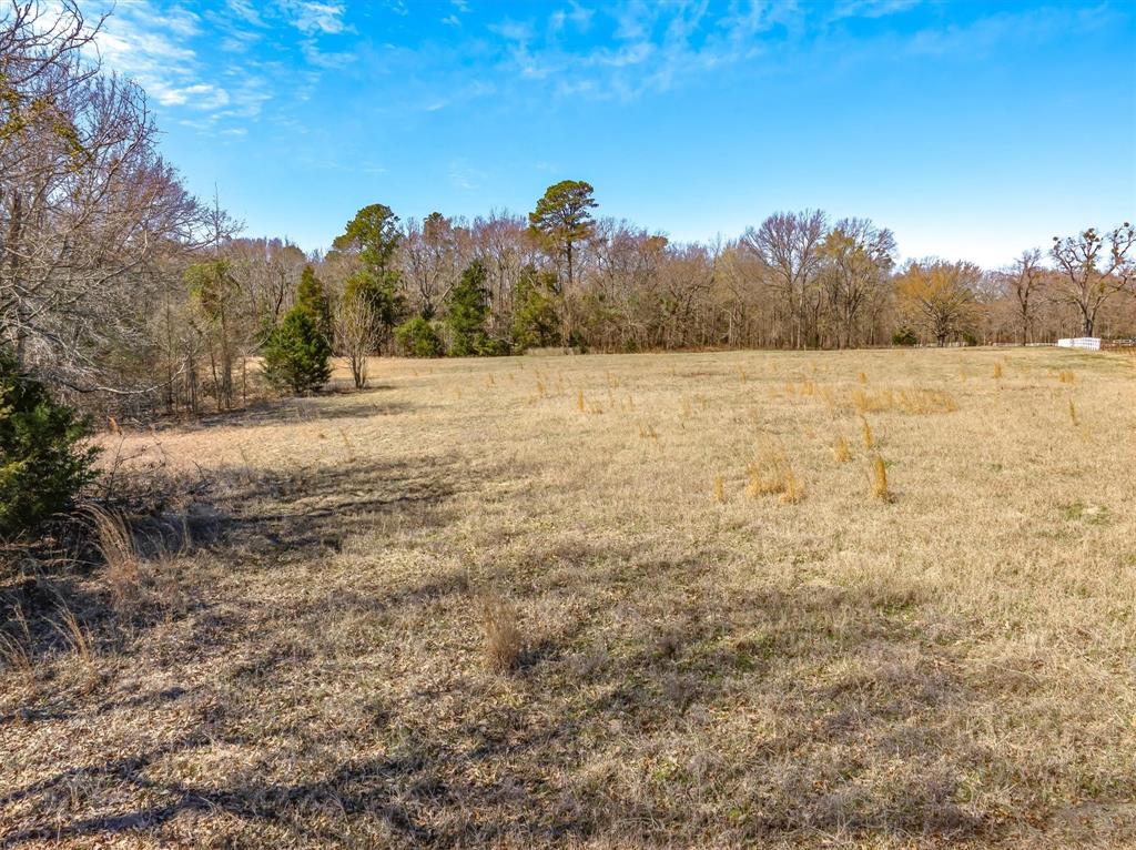 Stallion Lake Ranch - Land