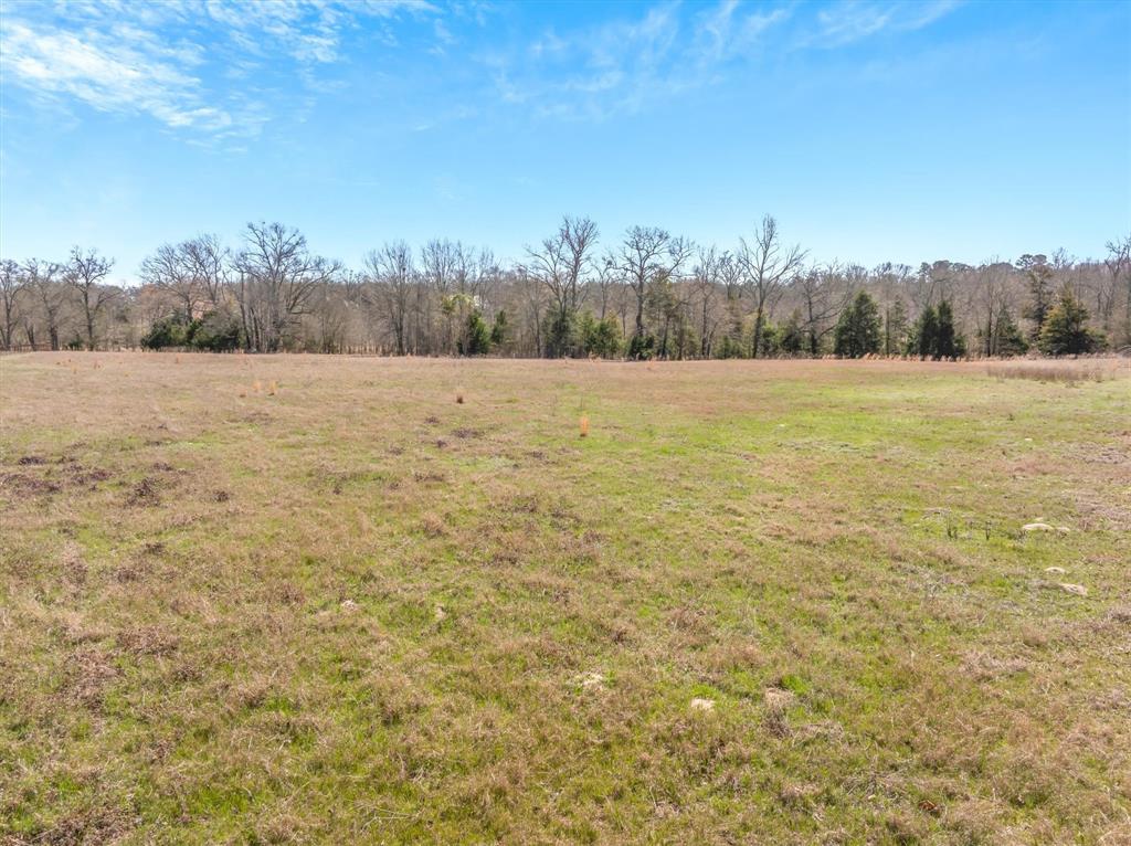 Stallion Lake Ranch - Land