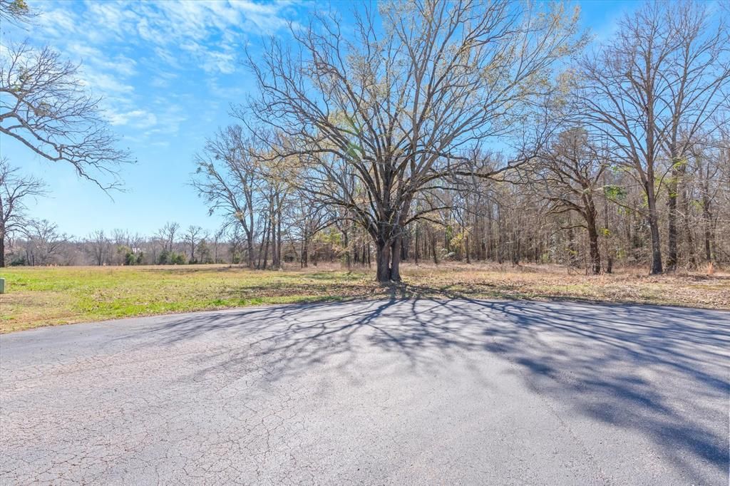 Photo of 23771 Champion Drive, Lindale, TX 75771 (MLS # 21194008)