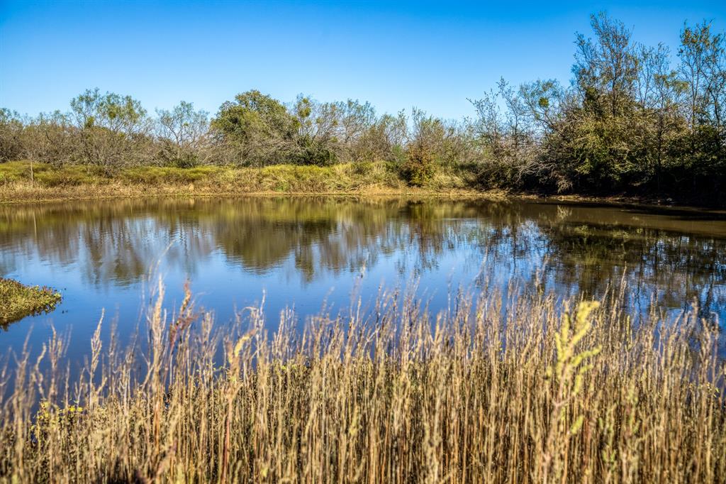 TBD Shady Oaks