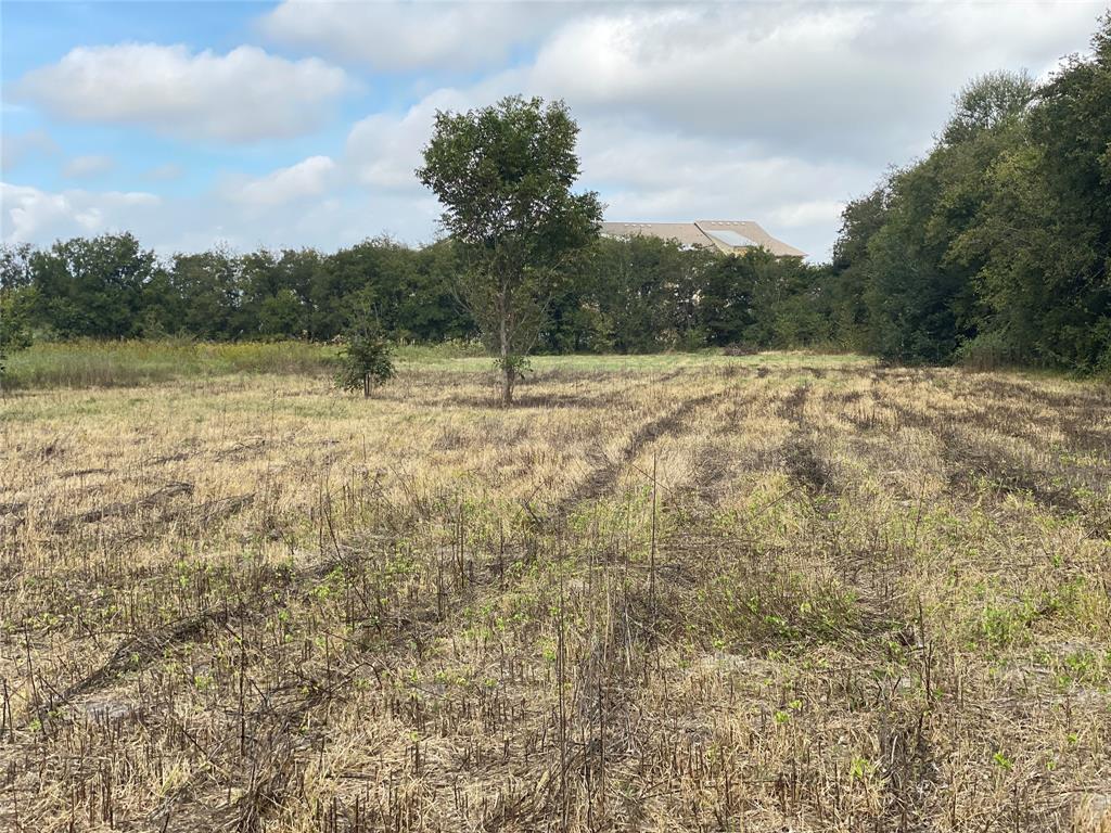 Ocampo C - Residential