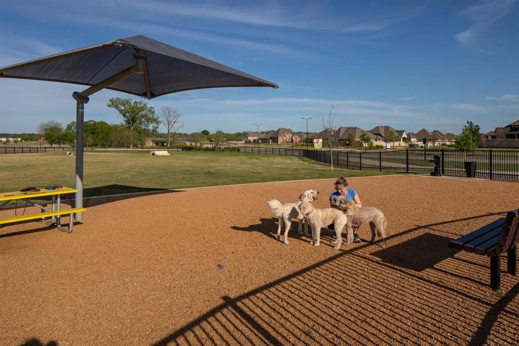 Trinity Falls 60 - Residential