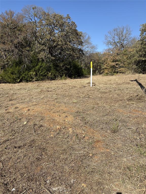 3009 Rolling Oaks Drive