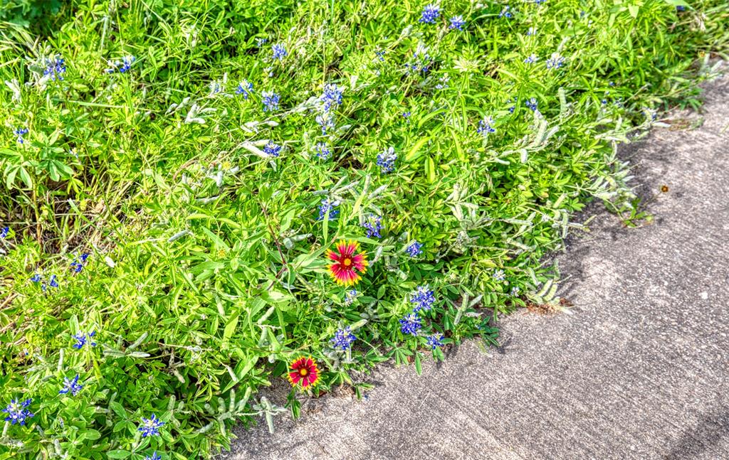 Emerald Sound At Lake Lewisvil - Residential